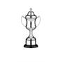 Silver Plated Trophy thumbnail